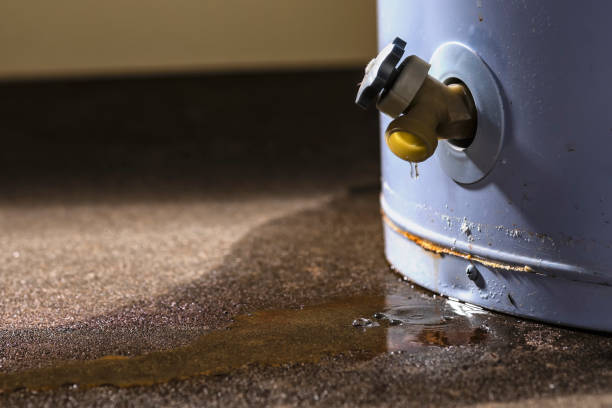 Best Water damage restoration insurance claims  in Silver Lake, NC