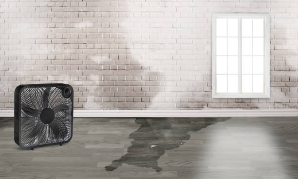Best 24-hour water damage restoration  in Silver Lake, NC