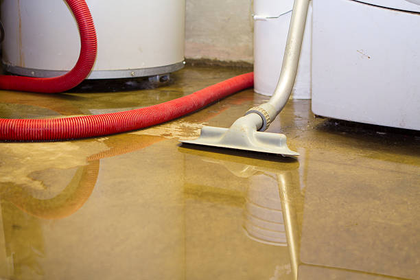 Best Fire Damage Restoration  in Silver Lake, NC