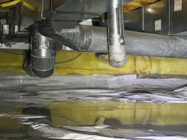 Best Basement water damage restoration  in Silver Lake, NC