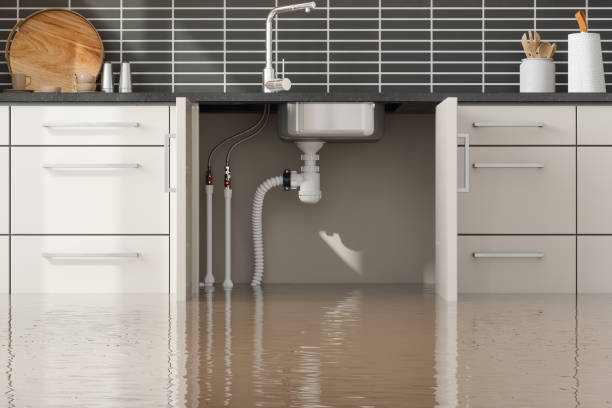 Best Carpet water damage restoration  in Silver Lake, NC