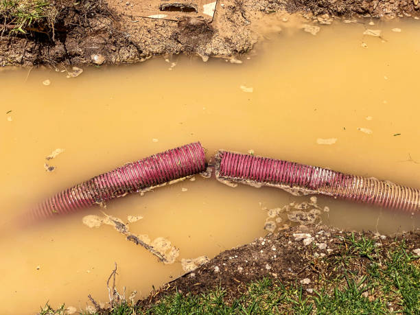 Water damage restoration insurance claims in Silver Lake, NC