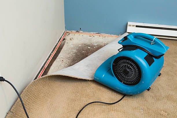Best Sewage cleanup and water damage restoration  in Silver Lake, NC